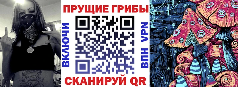 Галлюциногенные грибы Psilocybe  OMG как войти  Ульяновск  купить наркотик 