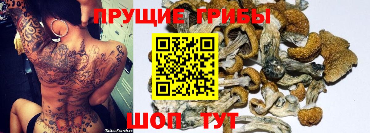 Псилоцибиновые грибы Psilocybe  Псилоцибиновые грибы Psilocybine cubensis  Вход с VPN  Ульяновск 